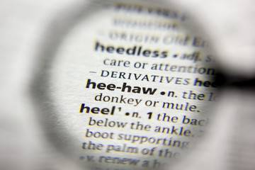 The word or phrase Hee-haw in a dictionary.