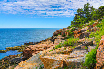 View of the rocky coastline in Acadia National Park, Maine - obrazy, fototapety, plakaty