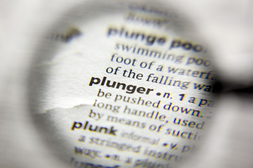 The word or phrase Plunger in a dictionary.