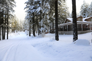 WInter snow exterior with cabin house and forest