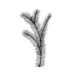 Merry Christmas and Happy New Year doodle decoration. Hand drawn fir branch vector illustration. Fluffy fir tree branch isolated on white background. Line art style illustration for decoration.