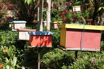 Man-made bee nests made of timber. Designed in box form. Placed in a flower garden to help bees get honey.