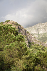 Fototapeta na wymiar View of the mountains in Turkey