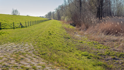 Path at the foot of a Dutch embankment. In the foreground the path is paved with concrete stones. To the left and behind the dike, located outside the image, is a wide river. Spring has just begun.