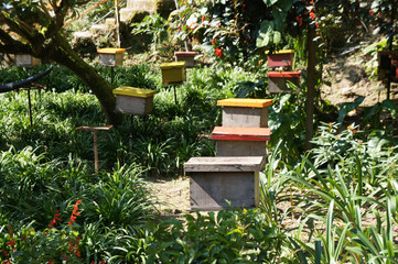 Man-made bee nests made of timber. Designed in box form. Placed in a flower garden to help bees get honey.