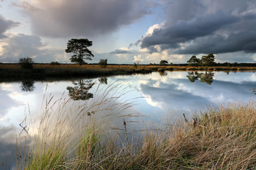 stormy sky reflected in wild lake