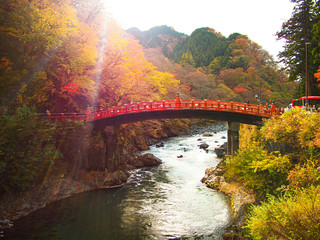 Fototapeta premium Red bridge over flowing river stream with autumn leaves and sunlight