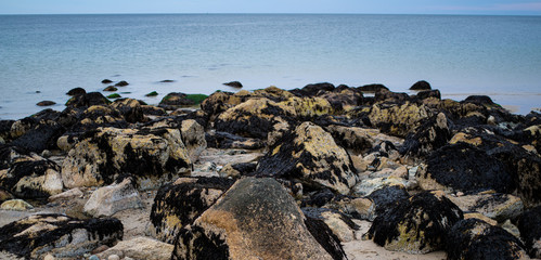 A Low Horizon and Sea with Exposed Rocks