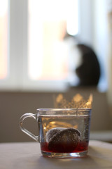 Tea in a glass mug and lit candle. Cat in the background. Selective focus.