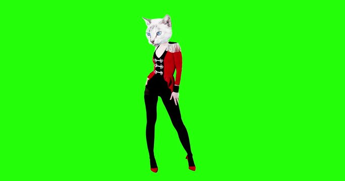 Fashion gif art. Stylish dancing Kitty in hussar suit. Party concept