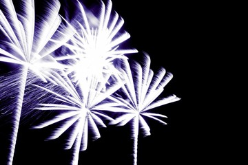 Luxury fireworks event sky show with purple palm trees stars. Premium entertainment magic star firework at e.g. New Years Eve or Independence Day party celebration. Black background copyspace