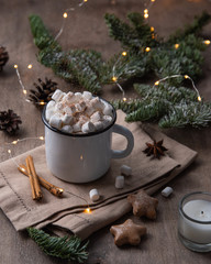 Obraz na płótnie Canvas cup of cocoa and marshmallow with gingerbread and cinnamon on wood background