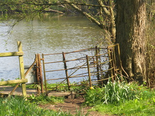 Old fence by lake