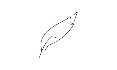 hand-drawn pen. scientific or magical Doodle art. use it as a clipart in greeting cards, print on clothes, animation, packaging or design of your website