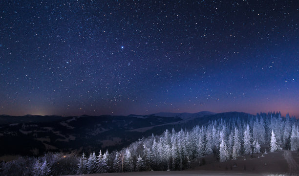 Mesmerizing night landscape snowy fir trees