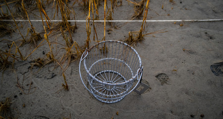 An Empty Oyster Basket on a Beach with Cordgrass