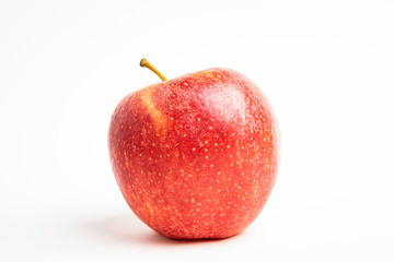One Fresh Red Apple