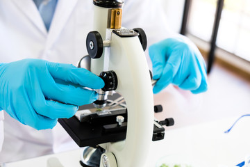 Male scientist and laboratory experiment