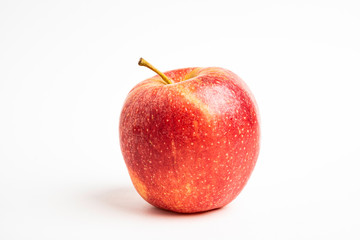 One Fresh Red Apple