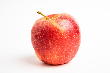 One Fresh Red Apple