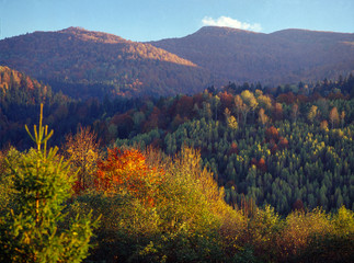 Bieszczady National Park, Bieszczady Mountains, Carpathian Mountains, Poland © Maciej