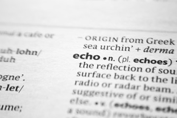 Word or phrase Echo in a dictionary.
