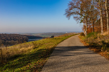 Weg auf dem Horn mit Aussicht auf den Strombergh