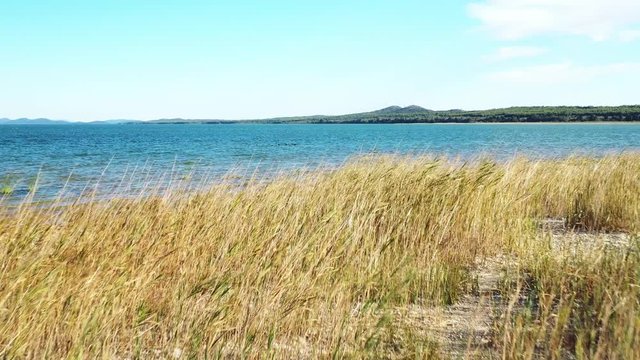 Shore of beautiful ornithological nature park and Vrana lake (Vransko jezero) in Dalmatia, Croatia