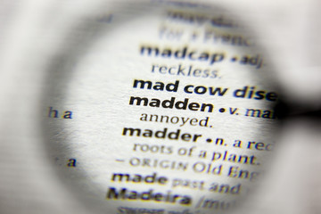 The word or phrase Madden in a dictionary.
