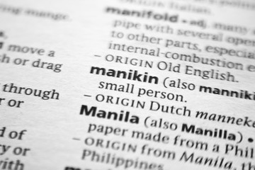 Word or phrase Manikin in a dictionary.