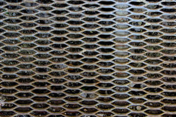 Surface of latticed metal step with hexagonal elements