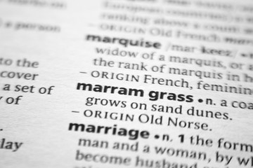 Word or phrase Marram grass in a dictionary.