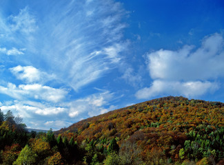 Huta Polanska, Magurki National Park, Beskid Niski Mountains, Carpathians Mountains, Poland