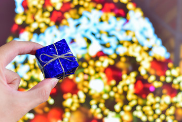 Hand Holding Small Christmas Gift with Christmas Tree as Background