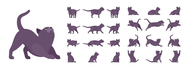 Black Cat set. Active healthy kitten with dark, gray colored fur, cute funny pet, mystic bad luck omen. Vector flat style cartoon illustration isolated on white background, different views and poses