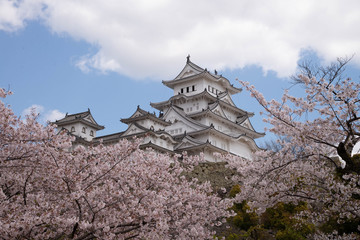 Himeji Castle 