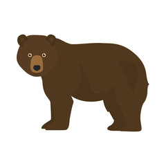 Obraz na płótnie Canvas Brown bear, forest bear, grizzly bear. Cartoon vector illustration