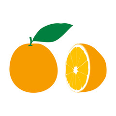 vector illustration of orange and half orange. Isolated orange with leaf.