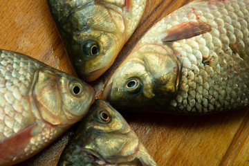caught fresh crucian carp on a cutting board close-up