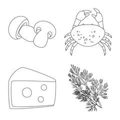 Vector design of seasonin and ingredient logo. Collection of seasonin and aroma stock vector illustration.
