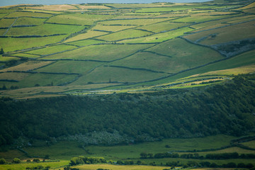 Agricultural fields on Faial, Azores