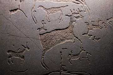 petroglyph illuminated by light in a museum