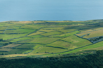 Green and blue agricultural pattern of Faial Island, Azores, Portugal