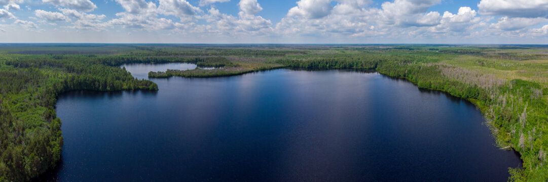 Beautiful landscape with a forest lake. Aerial photography
