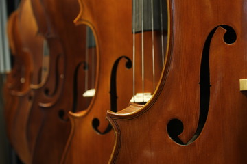 Violin Background