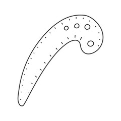 French curve ruler, vector illustration in simple linear style. Outline hand drawn isolated drawing of sewing and tailoring tool, modern line art, good as logo or icon.