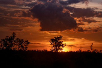 Twilight 