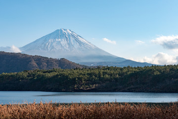 Der Fuji-San über dem Saiko See