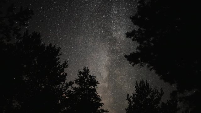 Time lapse of Milky Way and stars through trees