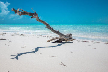 The Pristine Beaches of White Cay, Exumas, Bahamas